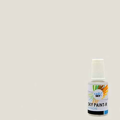 CARSKY Stylo retouche peinture carrosserie compatible avec Volkswagen CANDYWEISS LB9A (flacon pinceau 20ml) + vernis brillant (flacon pinceau 20ml)