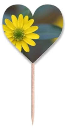Fiore giallo verde crisantemo stuzzicadenti bandiere cuore etichetta Cupcake Picks