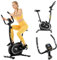 TREX SPORT Heimtrainer Fahrrad TX-450MB FLEXO | Hometrainer Fahrrad |Pulssensoren, extrem leises Magnetbremssystem mit 10 Widerstandsstufen, 8 Sitzhöhen, 120 kg belastbar (BLACK NIGHT)