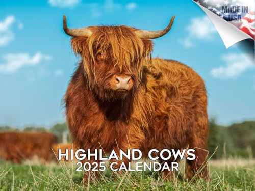 Monats-Wandkalender 2024 2025 Hochlandkühe – Wildtierkalender – 30,5 x 45,7 cm offen – dickes Papier ohne Blutung – Geschenk – akademischer Lehrerplaner Kalender Organisations- und Planungskalender