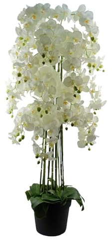 Botanik Realistic Artificial Orchid Plants Fully Potted