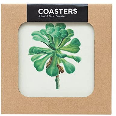 Grupo Erik Botanical Cacti Coasters Set Of 4-4 x 4 inches / 10 x 10 cm - Cork Coasters, Drinks Coasters, Beermat, Beverage Coaster, Drip Mat, Outdoor Coasters