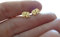 ◦•●◉ஐ INDISCHER ELEFANT GOLD EDELSTAHL STECKER ஐ◉●•◦ goldfarbene Ohrringe, Elefant, Indien, Afrika, antiallergisch, Stecker