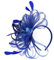 SJTJSPX Fascinator Chapeau Femme Fille Chapeau Bibi Accessoires Cheveux Maille Filet Chapeau Mariage Elegant Voile Bandeau Clip Serre-tête Mariée Chapeaux de Église Tea Party Cocktail Royal Ascot