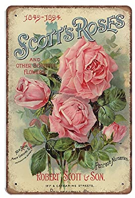 Dreacoss Vintage Blumen Blechschilder rosa Rosen Blumen Blumen Natur Pflanzen Küche Garten viktorianisch lustig Vintage Metall Blech Schild Plaqu Poster Wandkunst Pub Bar Küche Garten Badezimmer Home
