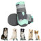 Eyein Hundeschuhe Pfotenschutz, 2 Stück atmungsaktiv Hundeschuhe mit Rutschfester Sohle und reflektierendem Klettverschluss für kleine, mittlere und große Hunde, Sport im Freien, Grün, Größe 6
