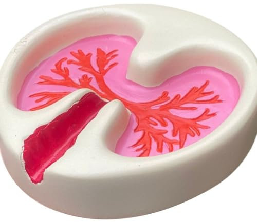 Harz-zigarettenaschenbecher, Tragbarer Moderner Aschenbecher Für Draußen Und Drinnen, Rosa Lunge, Zigarrenaschenbecher, Heimbüro, Schreibtisch, Raucher-aschenbecher