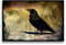 Premium Textil-Leinwand 45 x 30 cm Quer-Format Fotografie und Texturen, Leinwanddruck von Fritz Malaman