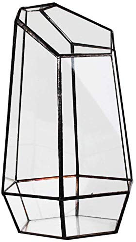 Duendhd Serre de maison - Vase hexagonal en verre pour jardin - Mini paysage