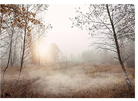 WallArena - Vlies Fototapete Bäume Nebel Wald Landschaft Natur Wiese Gras 416x254 cm - Fototapeten - Tapeten - für Wohnzimmer Schlafzimmer - Vliestapete Wandtapete Tapete 3D Effekt- inkl. Kleister