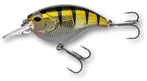 LMAB Crankbait 5,5 cm Power Vibe 55F - 3 Lauftiefen, Floating - Wobbler Barsch, Crankbait Wobbler, Kunstköder Angeln, Barsch Wobbler, Spinnfischen Köder (Real Perch, SR | Lauftiefe 1-2 m | 12 Gramm)