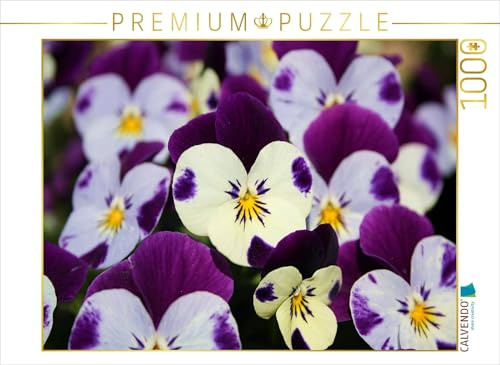 CALVENDO Puzzle Hornveilchen | 1000 Teile Lege-Größe 64 x 48 cm Foto-Puzzle für glückliche Stunden
