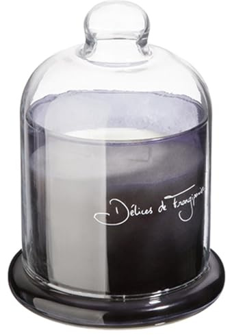 Comptoir de la Bougie - Bougie Parfumée sous Cloche Loyd 650g Délices Frangipanier