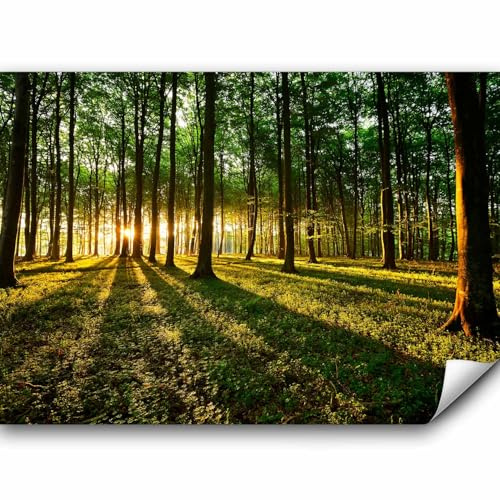 murando - Fototapete Premium-Vlies Wald, 400x280 cm, Schlafzimmer, Full HD | Premium-Vliesstoff, Full HD Druck, hochwertige Verarbeitung fürs Wohnzimmer, schnelle Montage, lichtbeständig, geruchsfrei