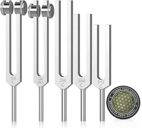 Boddceto Stimmgabeln für Heilungsset 128 Hz, 136 Hz, 256 Hz, 384 Hz, 512 Hz und Hockey-Puck-Aktivator für Heilung, Klangtherapie, Körperpflege