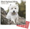 West Highland Terrier Kalender 2021 | Eckiger Hunderasse Wandkalender | 16 Monate | mit Organisationsaufklebern