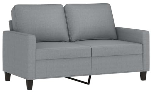 vidaXL Sofa 2-Sitzer, Loungesofa Couch mit Armlehnen Rückenkissen, Wohnzimmersofa Designsofa Metallgestell, Sitzmöbel Zweisitzer, Modern, Hellgrau Stoff