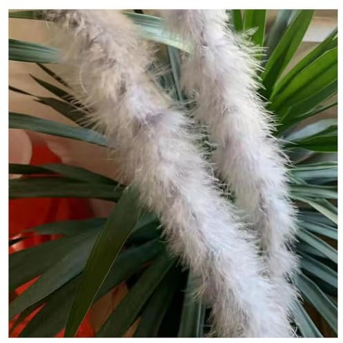 Hrlace 200cm Marabu Federboa 10g Flauschige Marabu Boa zum Basteln Natürliche Truthah Feder Boa Tlauschige Feder Girlande Weihnachtsgirlande DIY Kostüm Tanzen Hochzeit Cosplay Partydeko Hellgrau