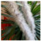 Hrlace 200cm Marabu Federboa 10g Flauschige Marabu Boa zum Basteln Natürliche Truthah Feder Boa Tlauschige Feder Girlande Weihnachtsgirlande DIY Kostüm Tanzen Hochzeit Cosplay Partydeko Hellgrau