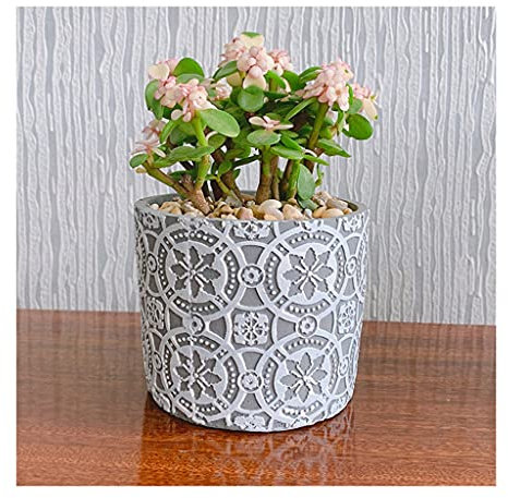 Vasi per Piante da Giardino per Esterni E Interni, Vasi per Fiori in Cemento, Contenitori per Piante da Interno Ed Esterno con Foro di Drenaggio, Vasi per Fiori da Giardino G,Grey