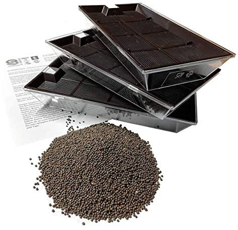 Samenshop24® Gründünger Saatgut Auswahl Einzelkomponenten Bodenkur Zwischenfrucht (Rotklee)