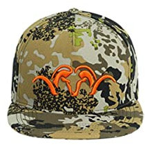 Blaser