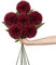 10cm groß Kunstblume Hortensie mit 63cm Langer Stiel, 6 PCS rot Künstliche Hortensie Blumen, Kunststoffblume Hortensie für Hochzeits Deco, Heimdeko, Büro, Garten Party Deco, Blumenarrangement