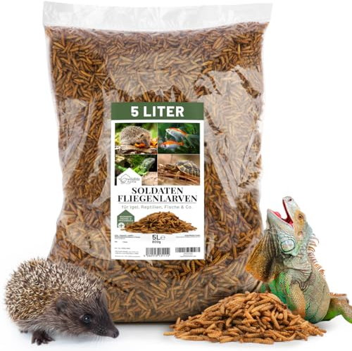 WILDLIFE HOME Soldatenfliegenlarven getrocknet 5L I Proteinreiches Insektenfutter für Reptilien, Fische, Schildkröten, Igel & Nager I Ganze Larven, hochwertiges Naturfutter