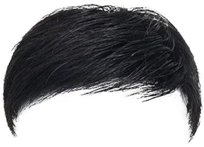 Men Forehead Toupee, Clips-On/Glue Short Toppers, Human Hair Replacement System, Natural Black Hair Extension Hairline Loss Hair Toppers for Men,Side,16x18cm