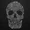 Glitzerdeals Bügelbilder aus Strass Totenkopf kristall Aufbügler für Textilien Karneval Kostüm Totenkopf Strassmotiv Schädel Skull Glitzer