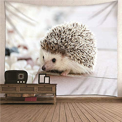CEVAN Wandteppich Halterung Tapisserie Funny Igel Wandteppich Für Die Decke Wandtuch Outdoor Kunst Dekorationen Decke Wandbehang Stoff Weiß 350x250cm