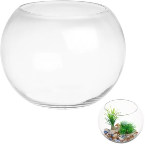 Healeved Aquarium Rond en Verre Soufflé pour Poisson et Plante, Bol Décoratif pour Bureau et Jardin, Aquarium Miniature Design Transparent