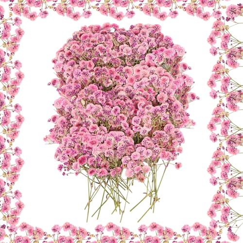 100 Stück Getrocknete Blumen,Klein Baby’s Breath Blumen,Echte Natur Trockenblumen,Schleierkraut Getrocknet für DIY Kerze Harz Schmuck Nagel Kunst Basteln Hochzeitseinladungskarte Party (Rosa)