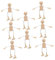 Veemoon 8 Stücke Holz Figur Kleine Peg Puppe Unfinished Körper Kit Form Roboter Marionette Puppet Beige