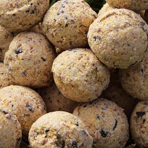10 Count Premium Fat Balls for Wild Birds – High Energy & Protein Feed | Garden Bird Food | All-Season Fat Balls for Robins, Finches, Blackbirds | Fresh & Nutritious