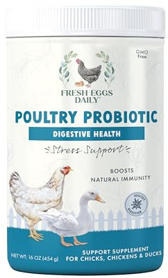 Fresh Eggs Daily Poultry Probiotics Feed Supplement – Natural Digestive & Immune Support for Chickens & Ducks – Enhances Egg Quality & Reduces Odor – 1 lb