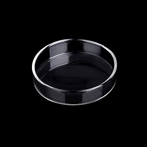 WEAVERBIRD Aquarium Glas Feeder 6cm Fisch Garnelen Fütterung Futternapf Klar Schale Runden Feeding Dish Bowl für Aquarium Tank