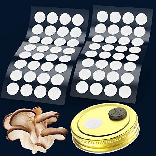 64 dischi filtranti sintetici da 20 mm di diametro, membrana idrofobica in PTFE 0,3 um, forte adesivo per la coltivazione di funghi