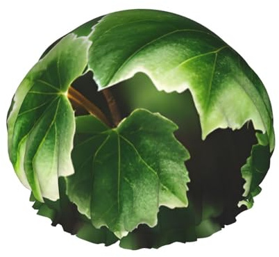 Bonnets de douche réutilisables à imprimé arbre de lierre pour femmes, bonnet DoubleHair, bonnet pour cheveux adultes pour tous les cheveux
