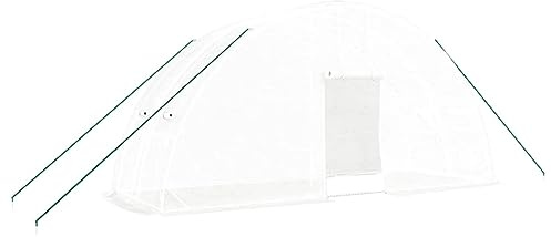 Tomostar Serre de Jardin Tunnel, Serre de Jardin avec Cadre en Acier Blanc 12 m² 6x2x2,85 m