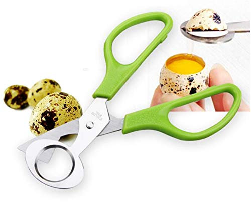 AKOAK 1 Stück Wachteleischere, Edelstahl Taubeneier Schere, Home Kitchen Egg Opener, Ideal Restaurant Vogel Ei Shucking Tool (Grün)
