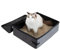 Reise Katzenklo, Tragbare Katzentoilette, wasserdichte Katzentoiletten, Reise Katzentoilettemit Deckel, Katzentoilette Reise für Katze Faltbare Oxford-Tuch mit Bezug Geeignet für Zuhause, 40 × 30 cm