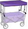 HIGOH Handcart, Faltbare Handschusse Im Freien Tragbare Trolley -Karrenzubehör - Markisen -Baldachin/Lila