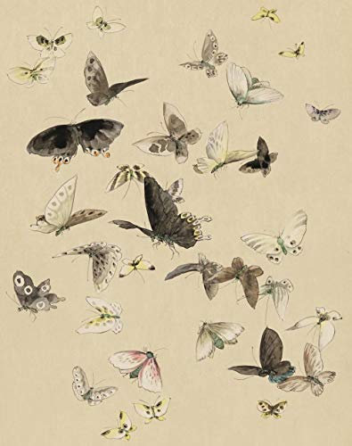 GUANGRUI Puzzles in a Paper Box 1000 Pcs Jigsaw Puzzle Game Artwork for Adults Teens,Puzzles,Games Puzzle Wooden Mat Board-Butterfly Collection