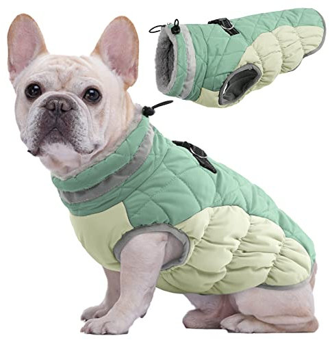 Kuoser Wärme Hundemantel - Winddicht, Reflektierend für Kleine und Große Hunde - Hundejacke Winter Draußen Mit Reißverschluss Grün XS