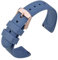 ANNEFIT Bracelets de Montres Silicone, Bracelet de Rechange en Caoutchouc à Dégagement Rapide 20mm avec Boucle Or Rose (Bleu)