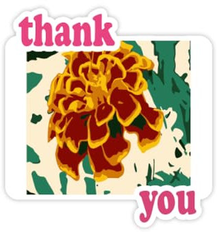 Mexikanische Chrysantheme Pfau Danke Aufkleber Zitat Dankbar