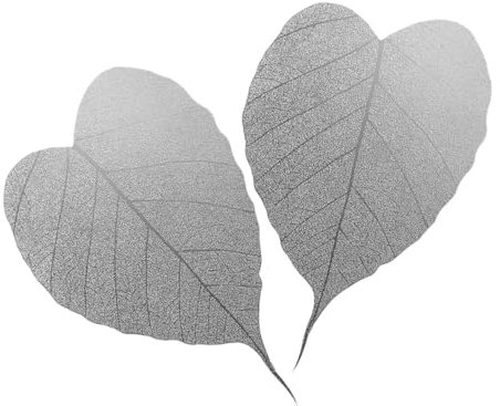 Alipis 2pcs Professional Tea Infuser Strainer for Tea Oolong Tea Teapot Tea Scoop for Loose Tea Tumbler Tea Lid Tea Mug with Infuser and Lid Tea Strainer Spoon Grey Stainless Steel Silver