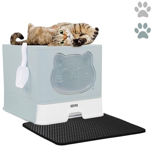 BIESMA Katzenklo blau mit Katzenklo Matte und Schaufel, XXL Katzentoilette Für Katzen bis 15kg,Katzenklo mit ausziehbares Tablett, Katzenklo mit Deckel und Zubehör