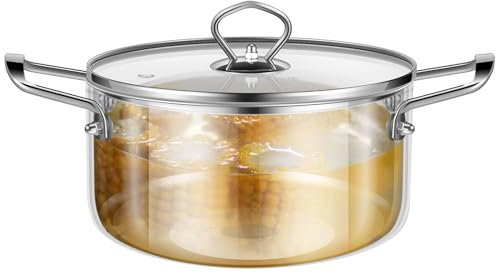 KTCINA Glass Saucepan with Cover, 2.5L Heat-Resistant Clear Simmer Pot Glass Cooking Pot wtih Handle Microwavable Glass Saucepan Cooktop Stovetop Safe Clear Cooking Pot for Pasta Noodle, Soup (2.5L)